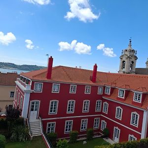 Olival 178